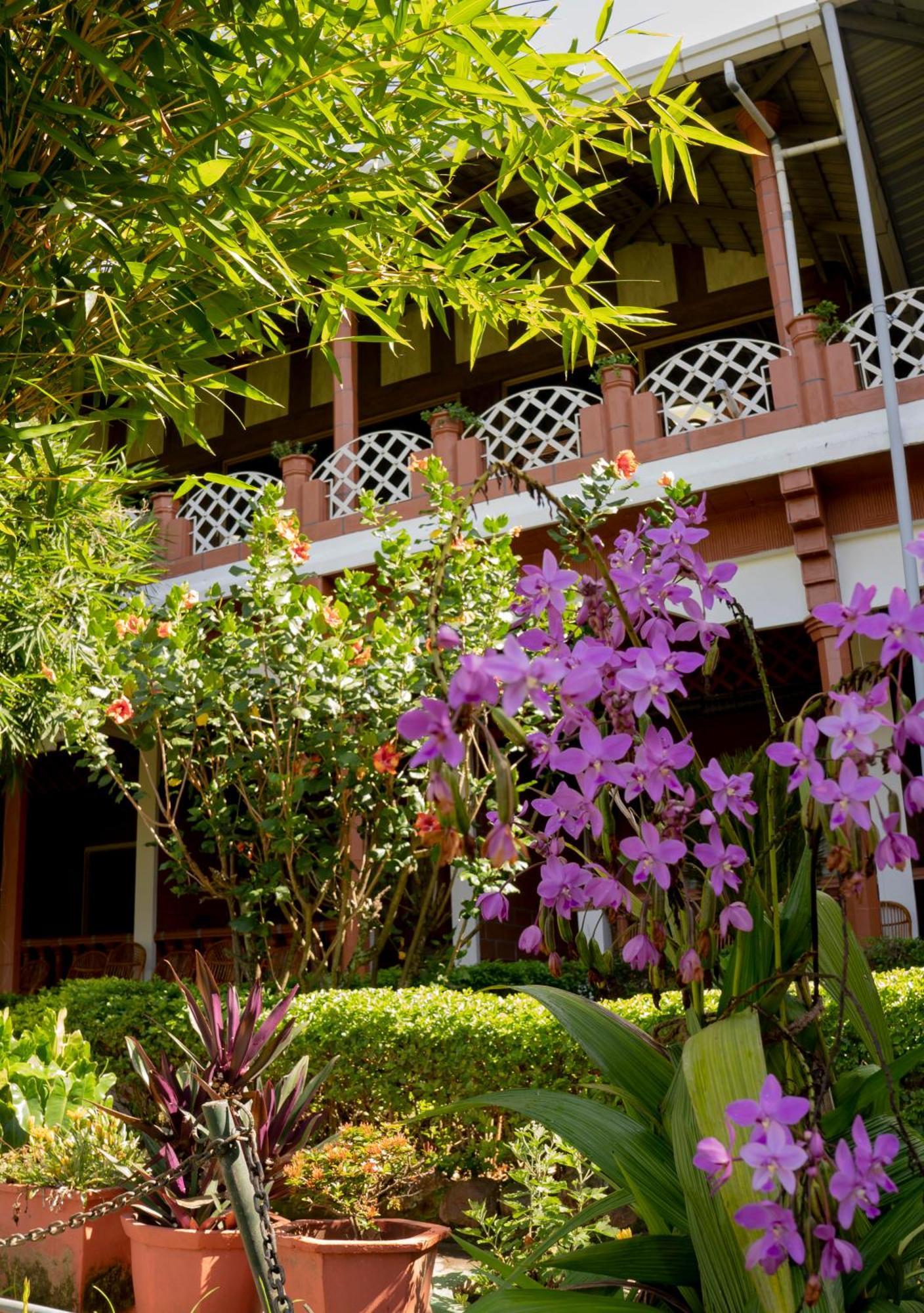 The Nest Inn Resort Masinagudi Exterior photo